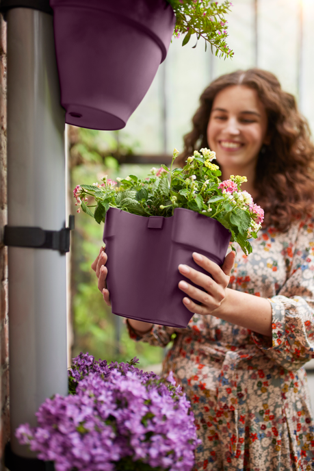 vibia campana regenpijpbakje 22cm esdoorn paars